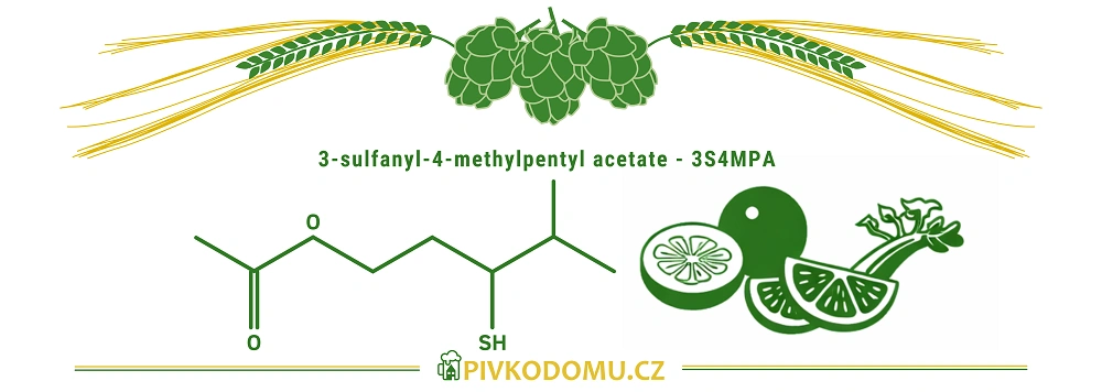Schéma 3-sulfanyl-4-methylpentyl acetátu 3S4MPA s citrusovým aromatem